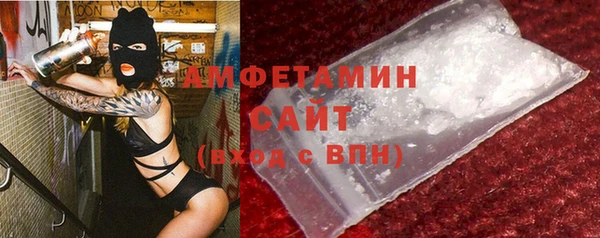 твердый Краснослободск