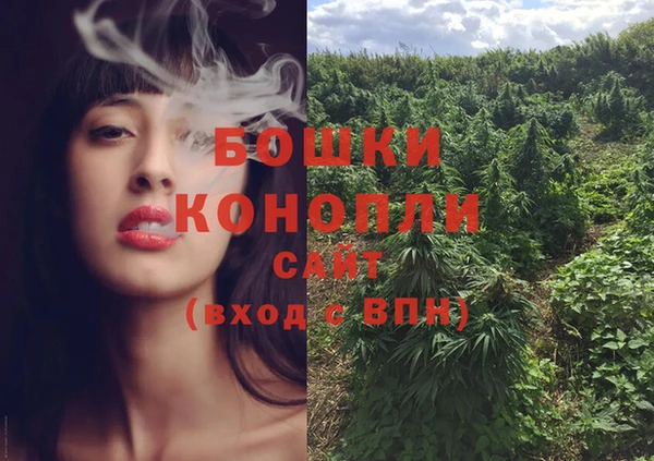 твердый Краснослободск