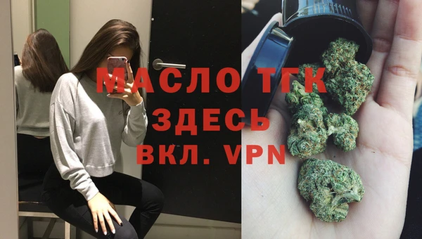 твердый Краснослободск