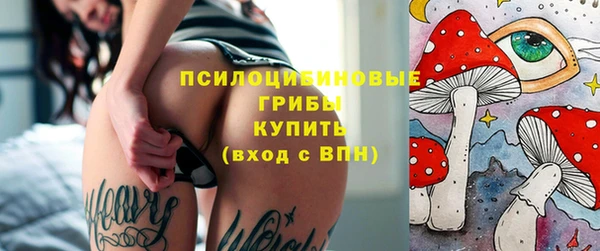 твердый Краснослободск