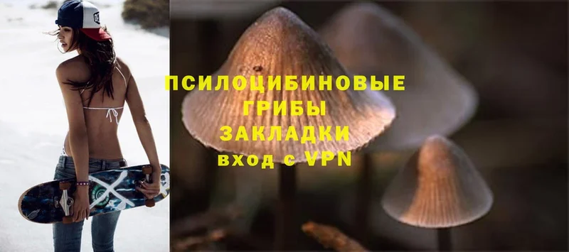 купить   Новоаннинский  Псилоцибиновые грибы Magic Shrooms 